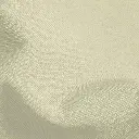ivory.webp