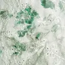 04 (3).webp
