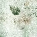 01 (5).webp