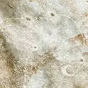 03 (4).webp