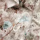 01 (6).webp
