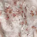 image_1024