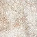 03 (5).webp