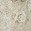 03 (7).webp