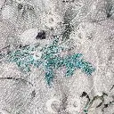 03 (6).webp