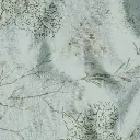 02 (6).webp