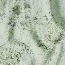 03 (8).webp